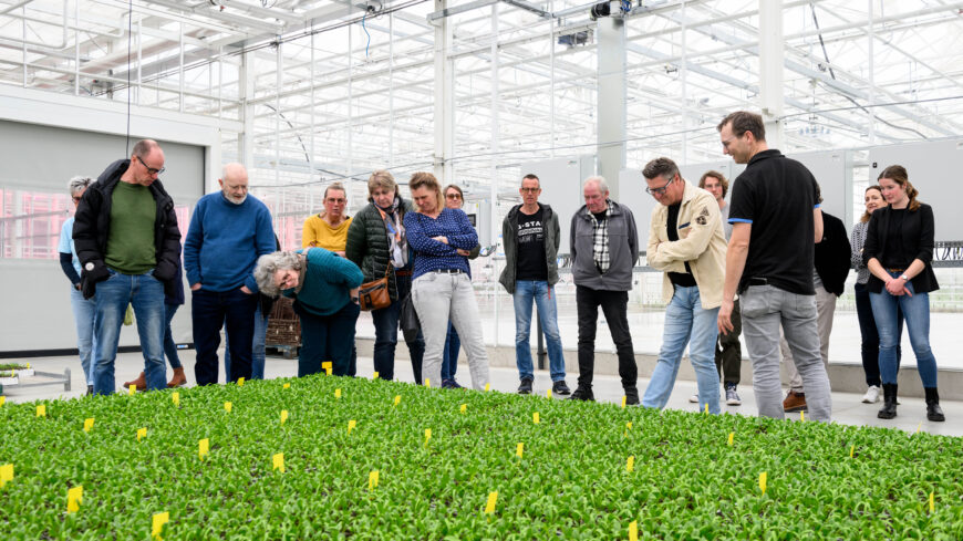 Bezoek-bij-Bejo-KBBBD Bezoek-bij-Bejo-KBBBD